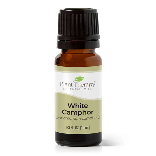 Essential Oil - White Camphor 10mL