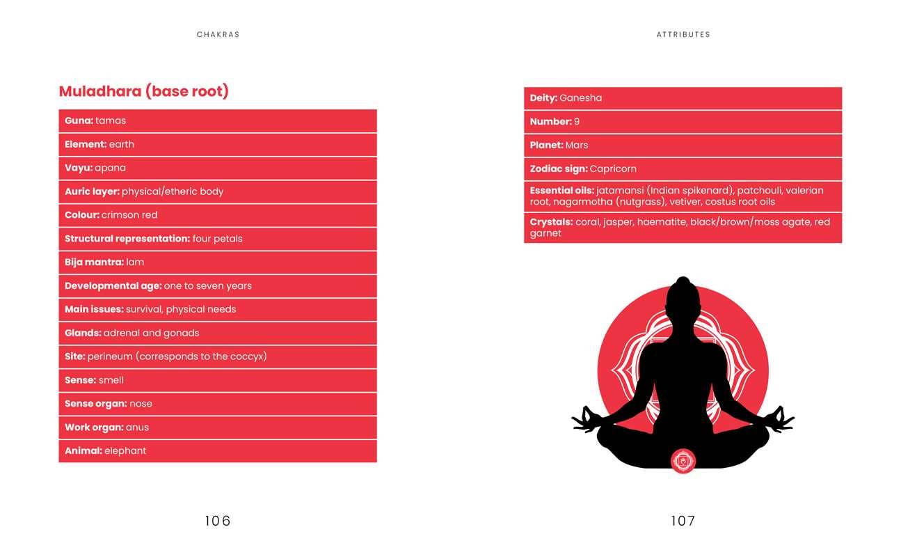 Chakras by Dr Ravi Ratan