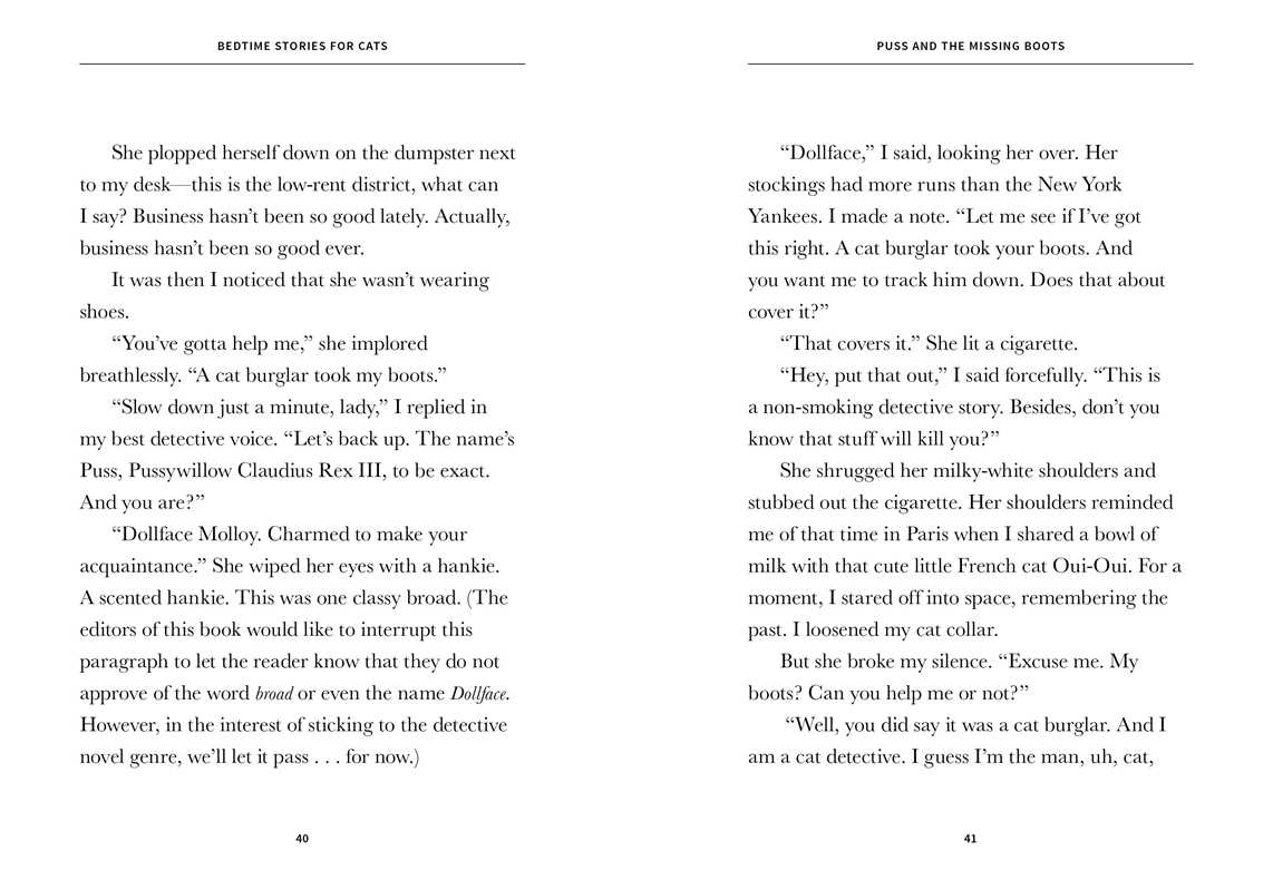 Bedtime Stories for Cats by Leigh Anne Jasheway: Paperback; 96 pages / English