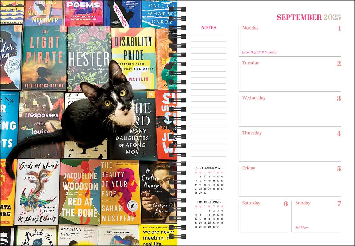 Cats & Books 12-Month 2025 Planner Calendar by Rizzoli Universe: Calendar