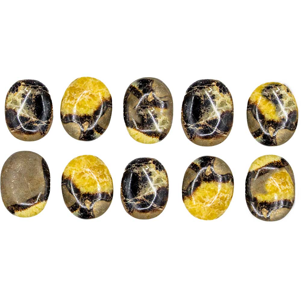 Worry Stones - Septarian / Dragon Stone