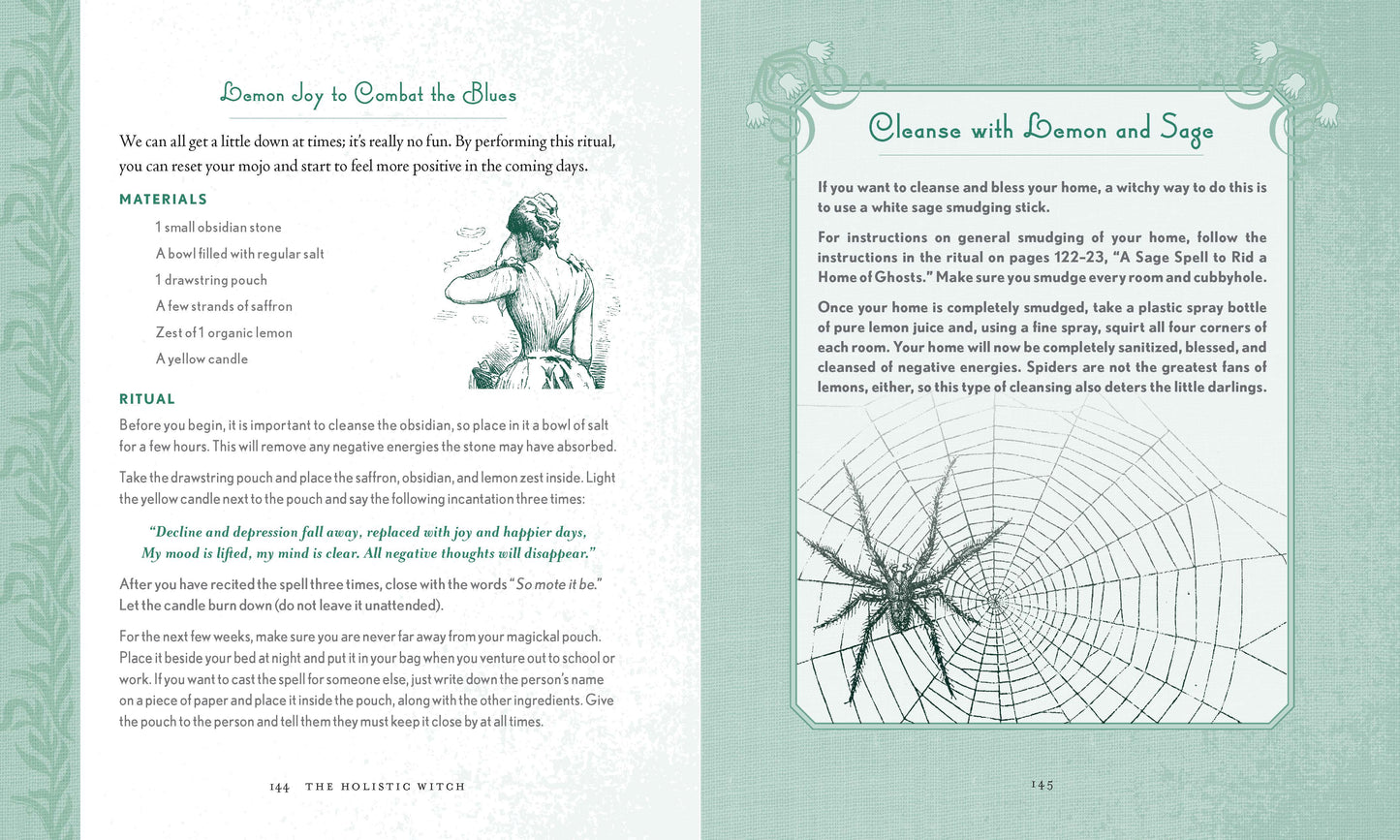 Holistic Witch: Hardcover