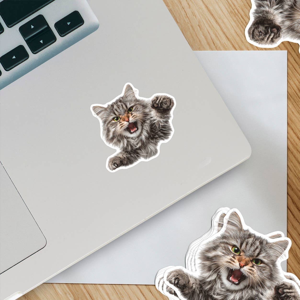Stickers - OZ - Angry Cat Vinyl