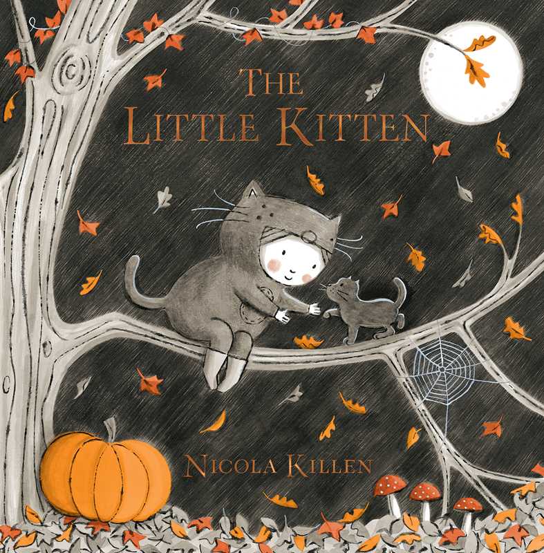 Little Kitten by Nicola Killen: Hardcover
