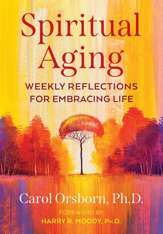 Spiritual Aging by Carol Orsborn: Paperback; 384 pages / English