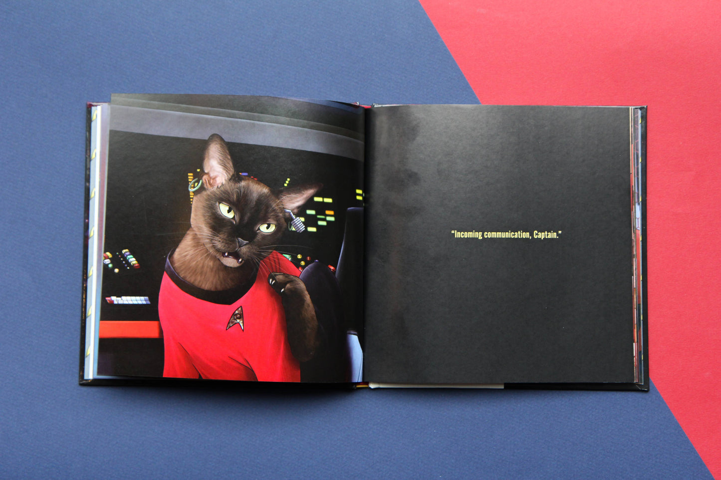 Star Trek Cats