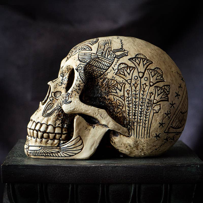 Egyptian Heiroglphic Skull Head