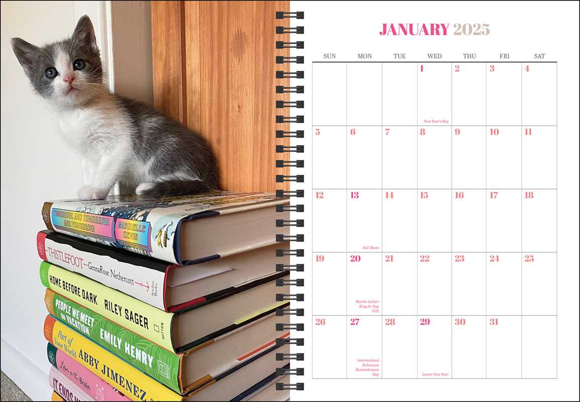 Cats & Books 12-Month 2025 Planner Calendar by Rizzoli Universe: Calendar