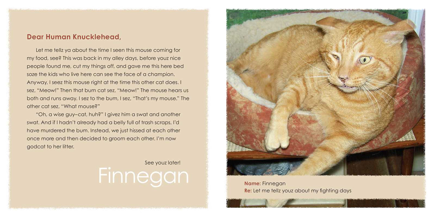 Sorry I Barfed on Your Bed Again by Jeremy  Greenberg: Paperback; 64 pages / English
