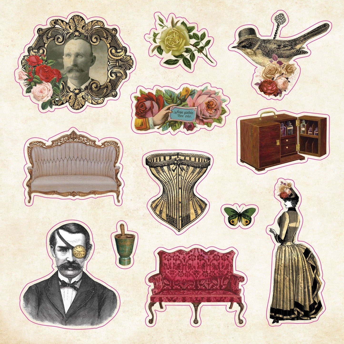 Sticker Book of Curiosities