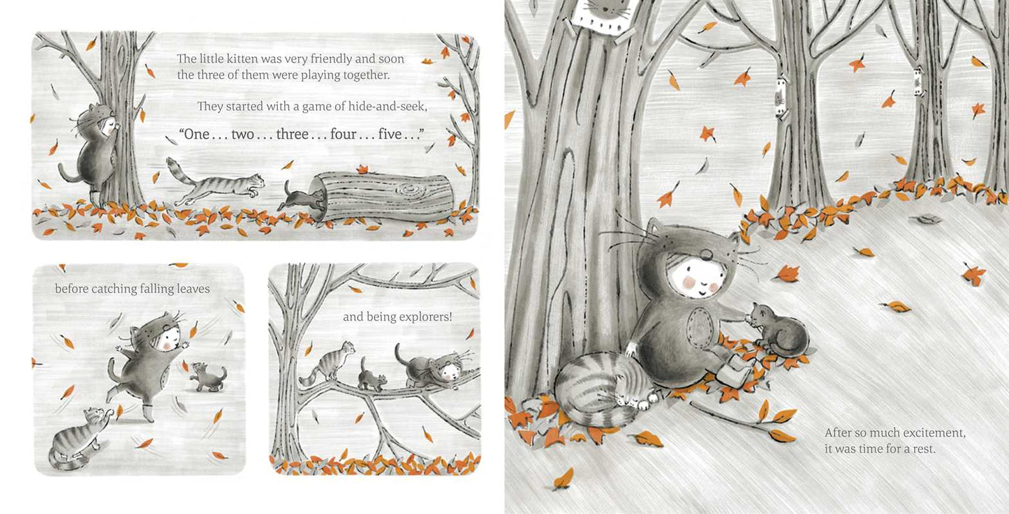 Little Kitten by Nicola Killen: Hardcover