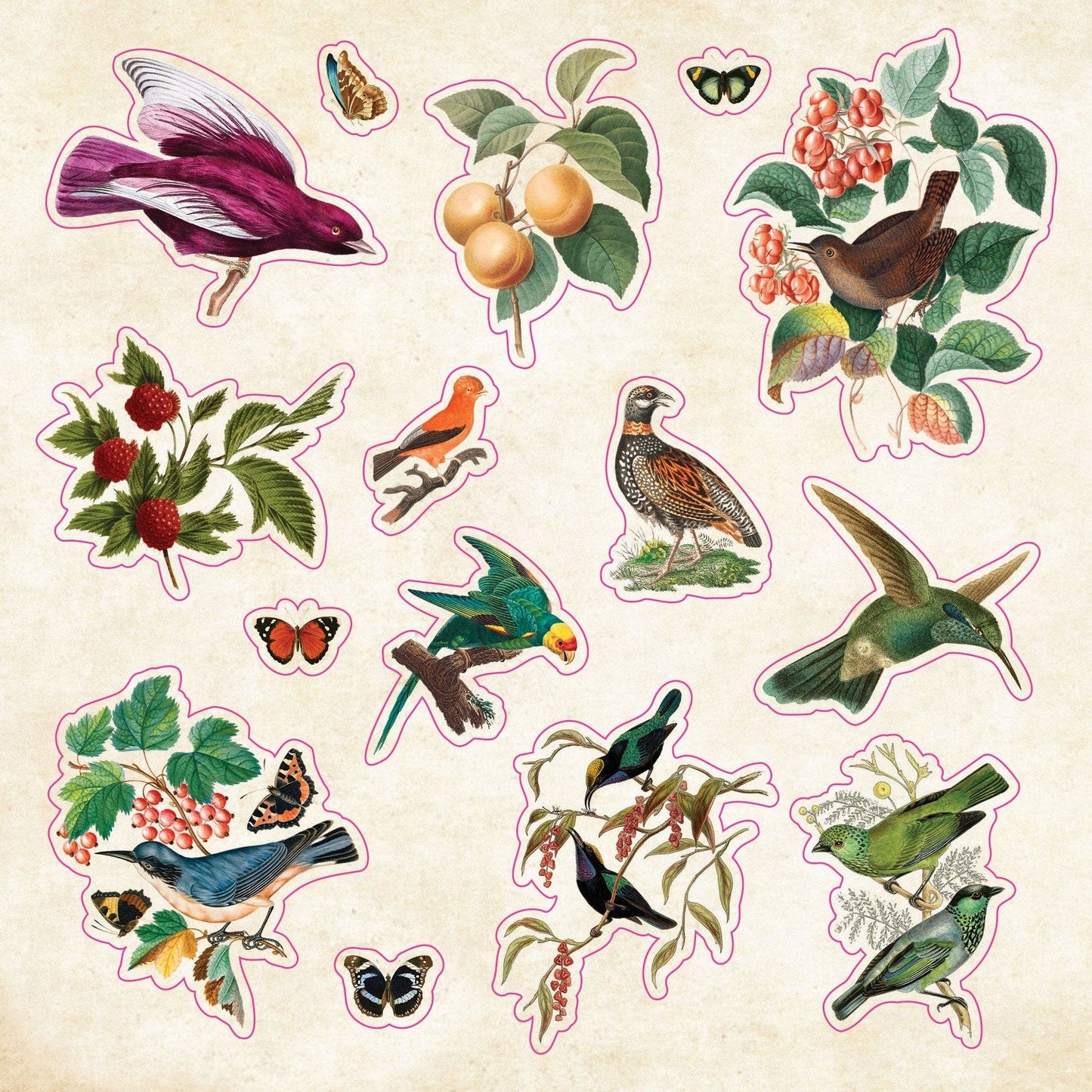Sticker Book of Curiosities