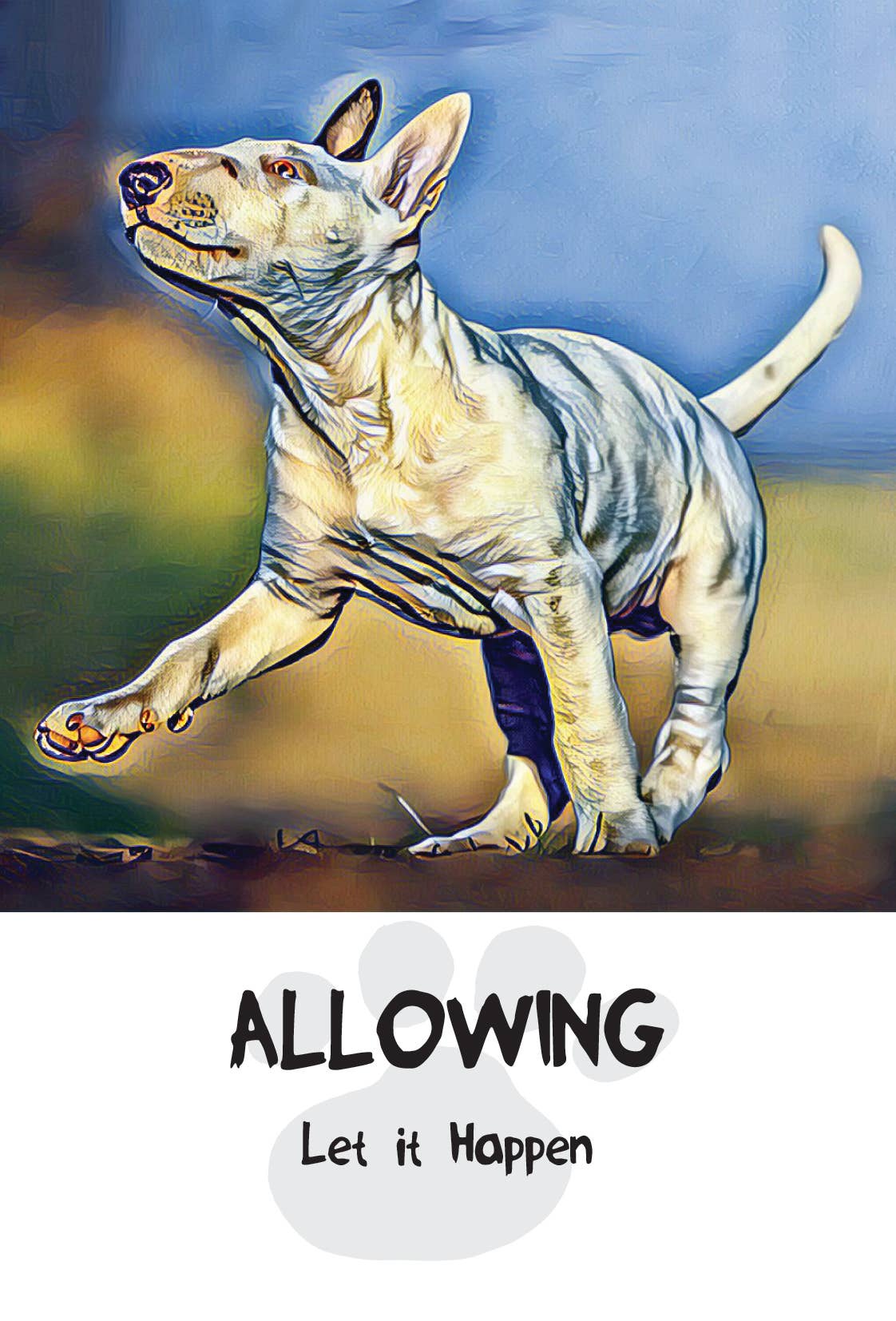 Divine Dog Wisdom Deck (Boxed Set)