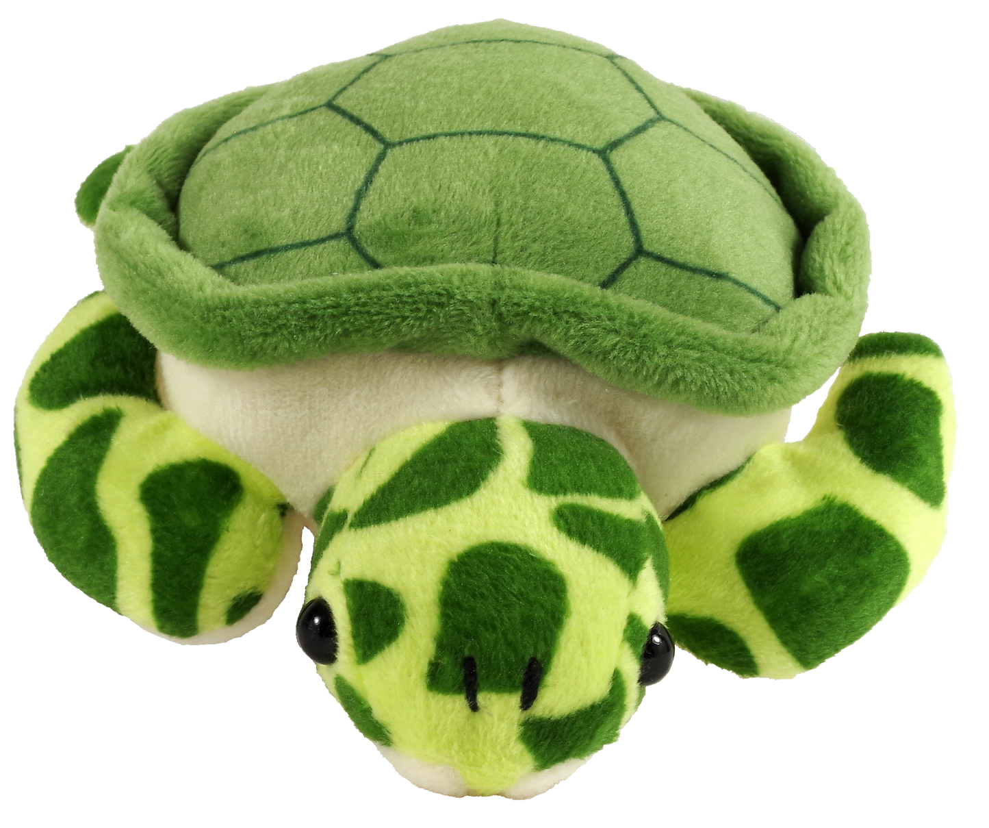 Hug a Sea Turtle Kit