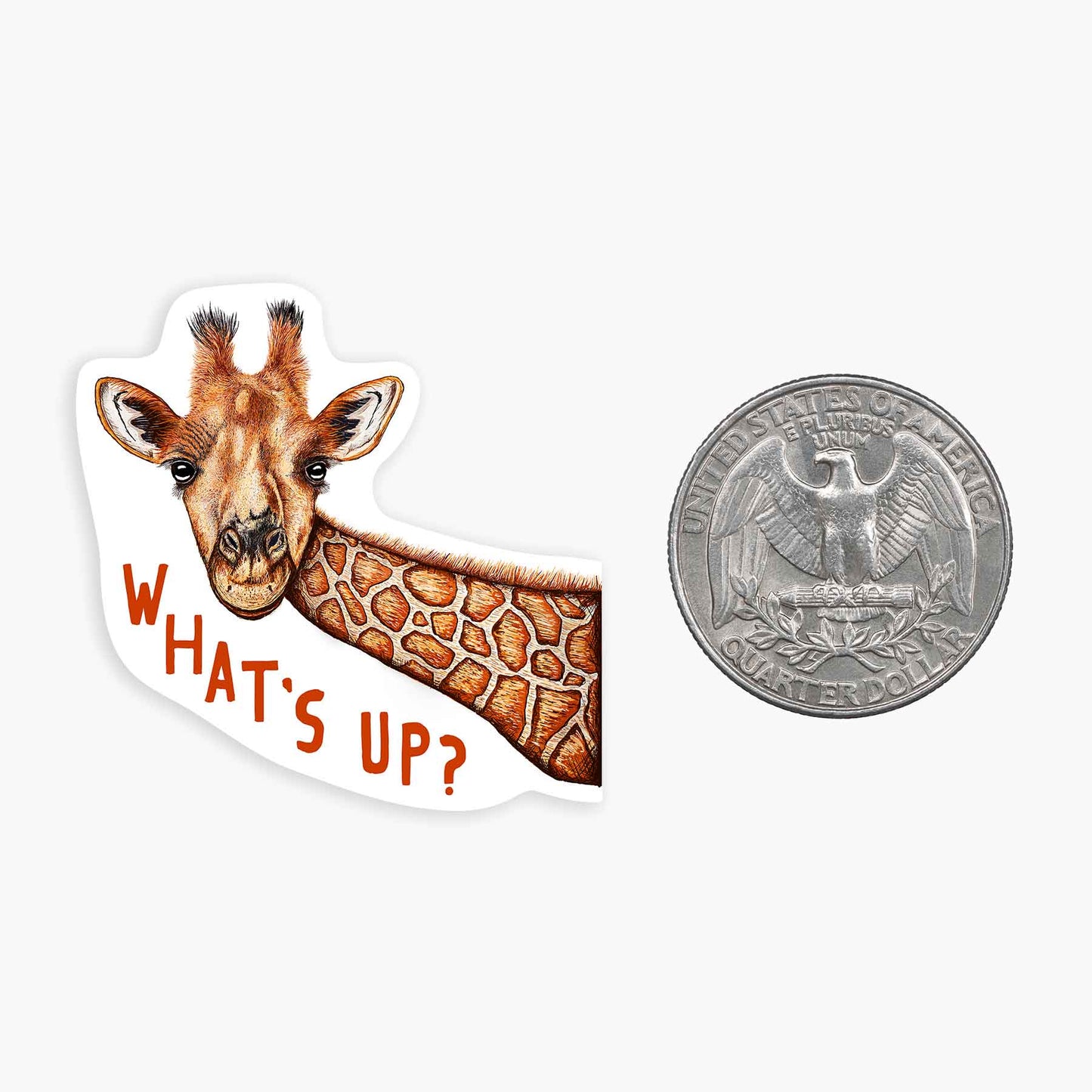 What's Up - Mini Sticker