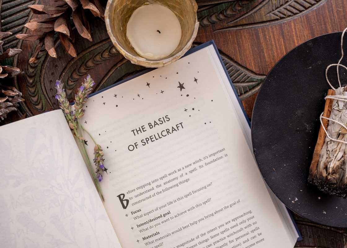 Spells for Change by Frankie  Castanea: Hardcover