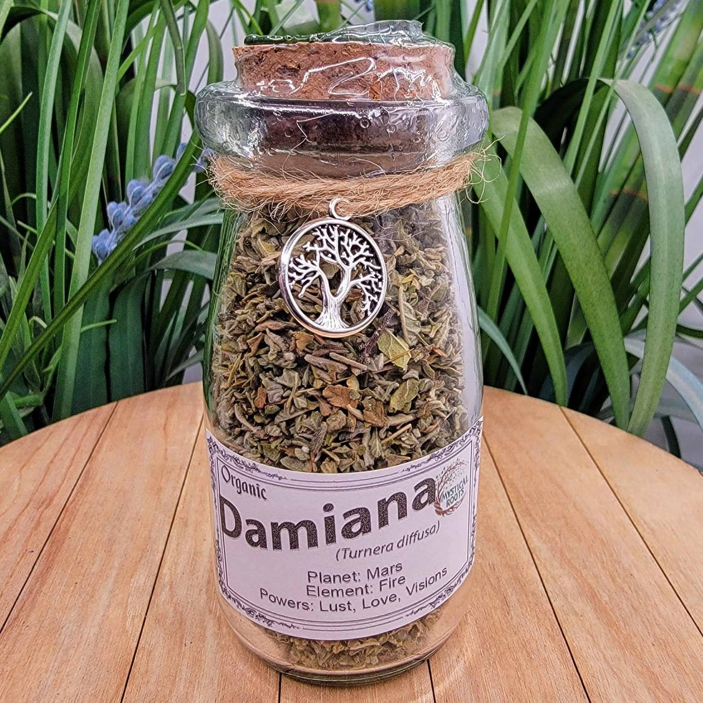 Herb Jar - Damiana