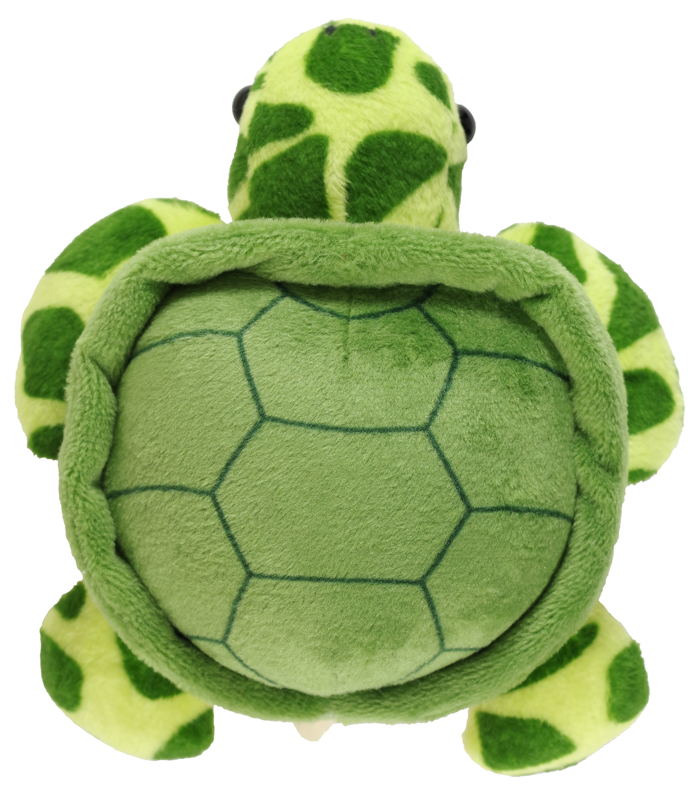 Hug a Sea Turtle Kit