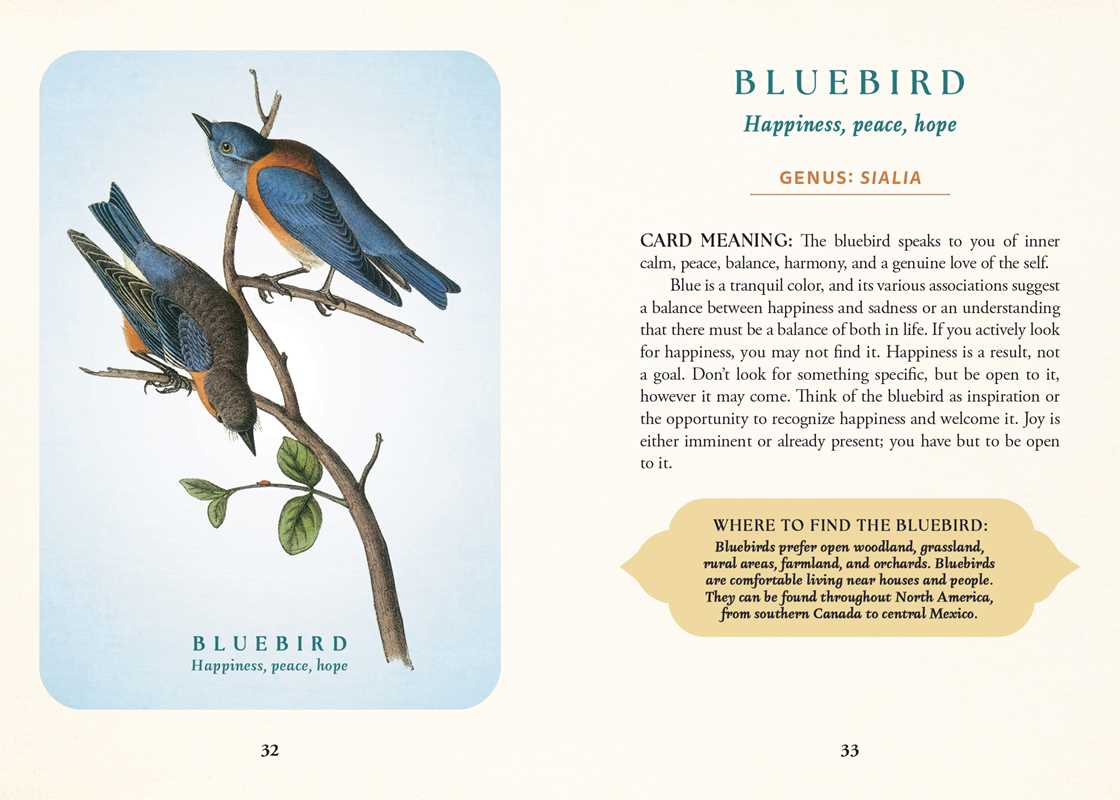 Spiritual Meaning of Birds Oracle Deck by Arin Murphy-Hiscock