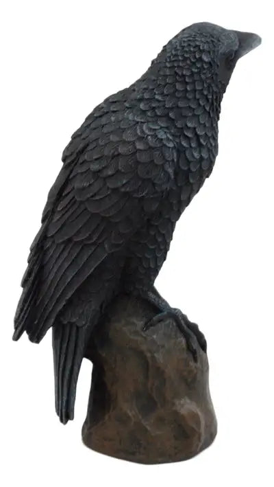 Raven on Branch