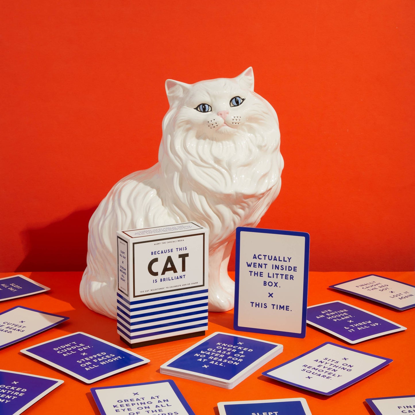 Brass Monkey Because This Cat Is Embarrassing - Pet Shame/Praise Deck