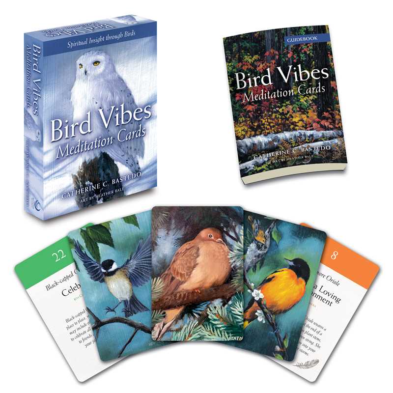 Bird Vibes Meditation Cards by Catherine C. Bastedo: Flashcards; 152 pages / English