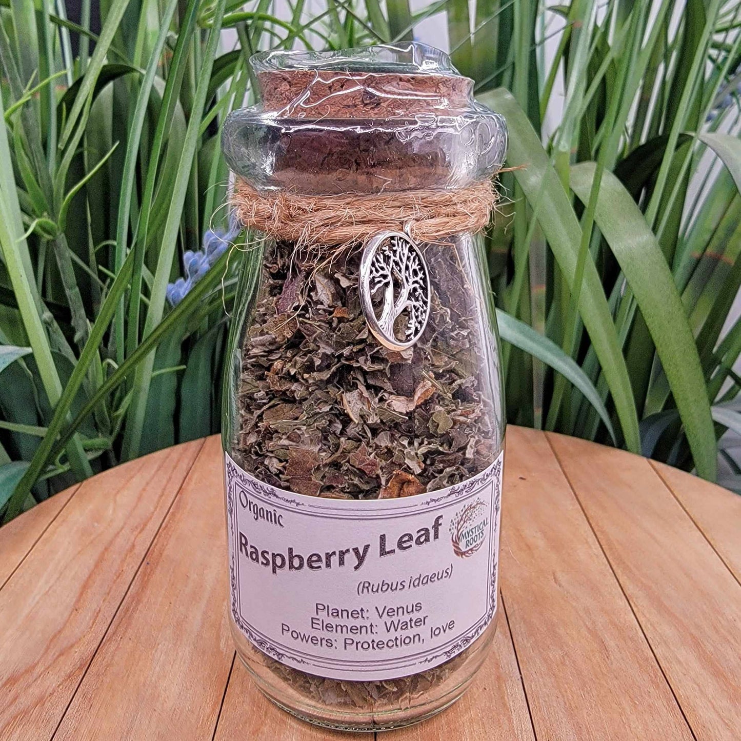 Herb Jar - Raspberry Leaf