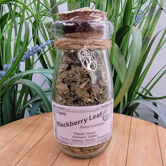 Herb Jar - Blackberry Leaf