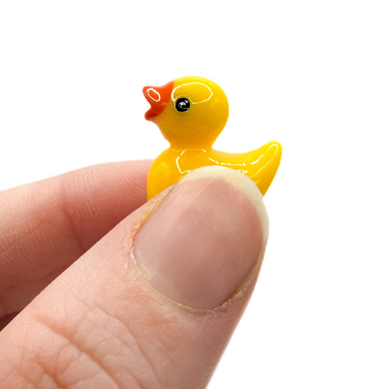 Tiny Ducks in a Bag