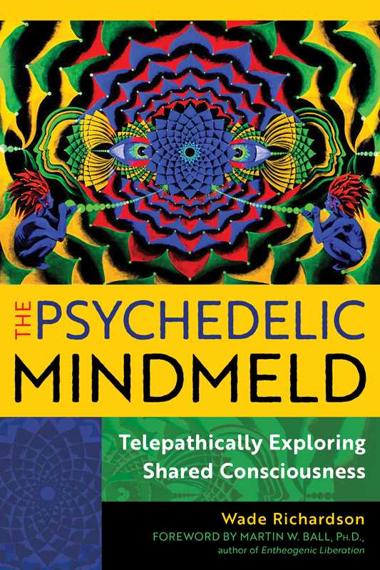 Psychedelic Mindmeld by Wade Richardson: Paperback; 352 pages / English