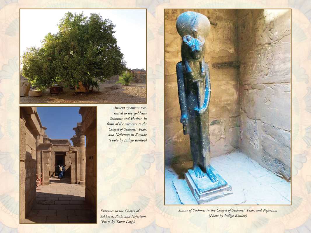 Sekhmet by Nicki Scully: Paperback; 288 pages / English