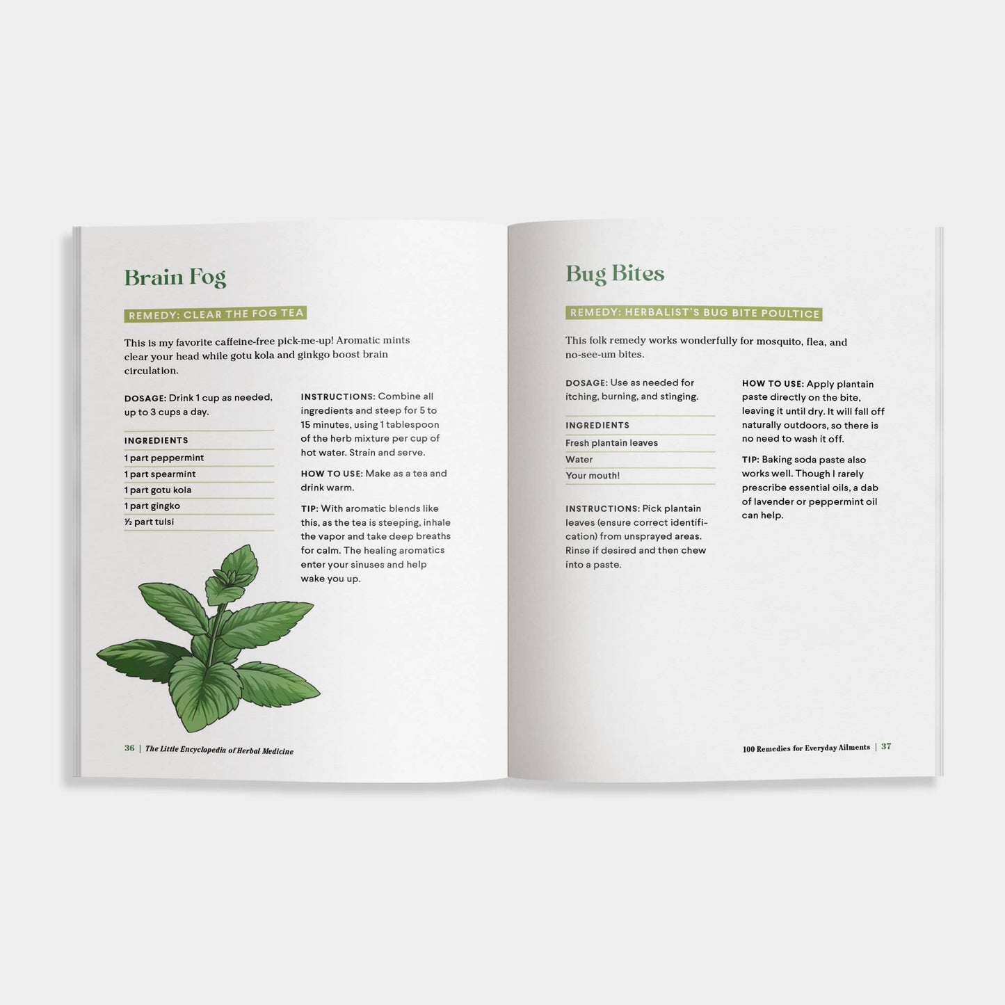 Little Encyclopedia of Herbal Medicine: Herbal Remedies