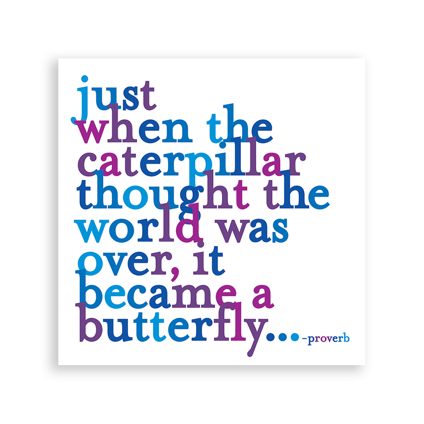 Magnets - MD54 - Caterpillar (Proverb)