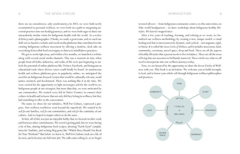 Seven Circles by Chelsey Luger - Indigenous Teachings