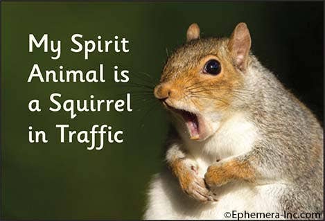 Magnet - Ephemera - My Spirit Animal is a Squirrel