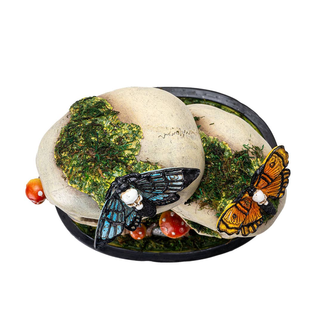 Skull with Death Moths