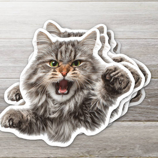 Stickers - OZ - Angry Cat Vinyl