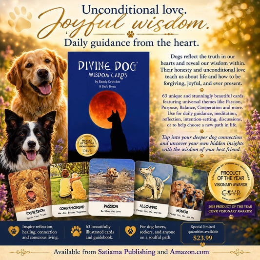 Divine Dog Wisdom Deck (Boxed Set)