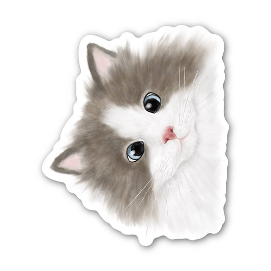 Sticker - KP - Peeping Cat