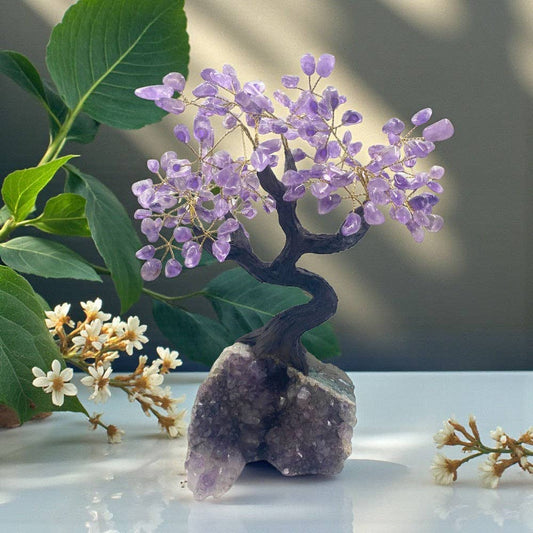 Feng Shui Money Tree - Amethyst, Large
