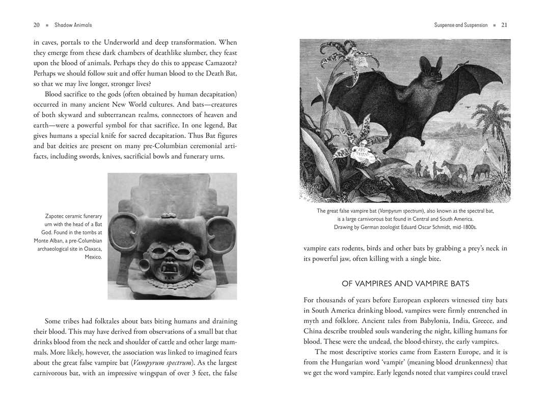 Shadow Animals by Dawn Baumann Brunke: Paperback; 320 pages / English