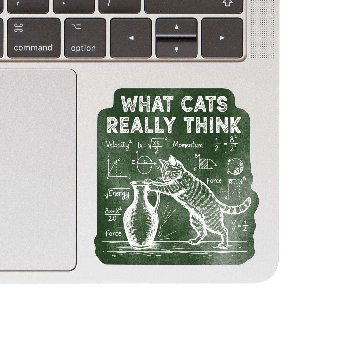 What Cats Really Think Chalkboard High Quality Vinyl Sticker