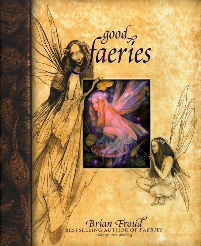 Good Faeries Bad Faeries by Brian Froud: Hardcover