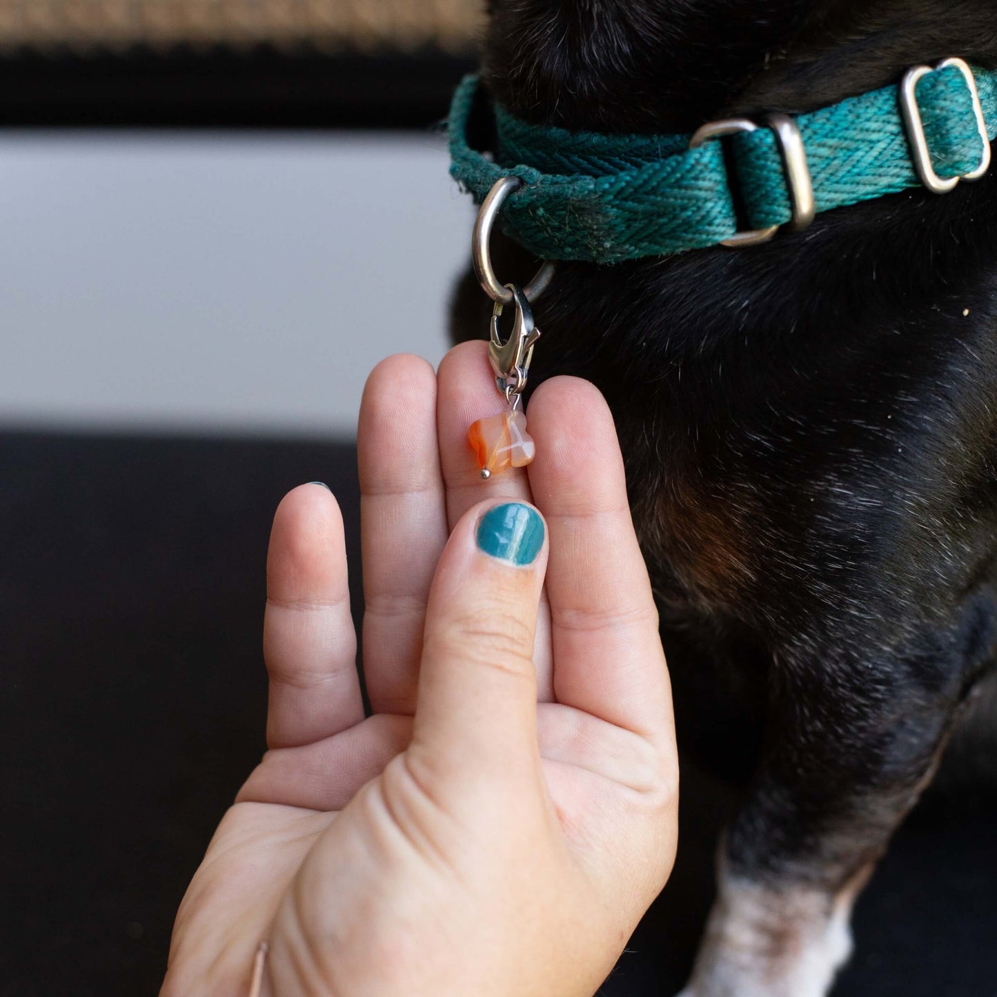 Carnelian Pet Charm for Happiness