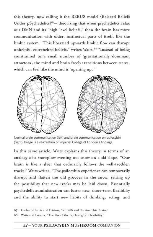 Your Psilocybin Mushroom Companion by Michelle Janikian: Paperback; 224 pages / English
