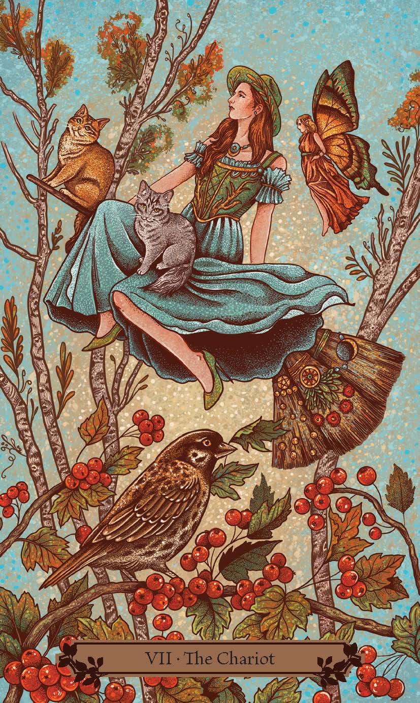 The Hedgewitch Tarot Deck