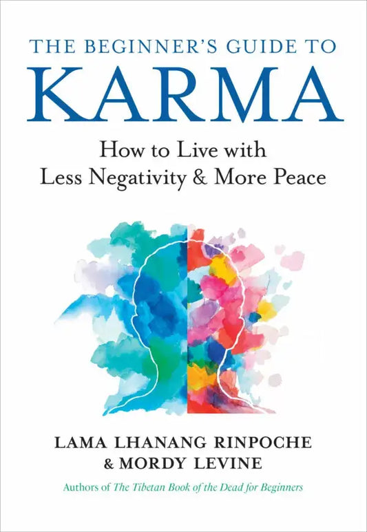 Beginner's Guide to Karma PB