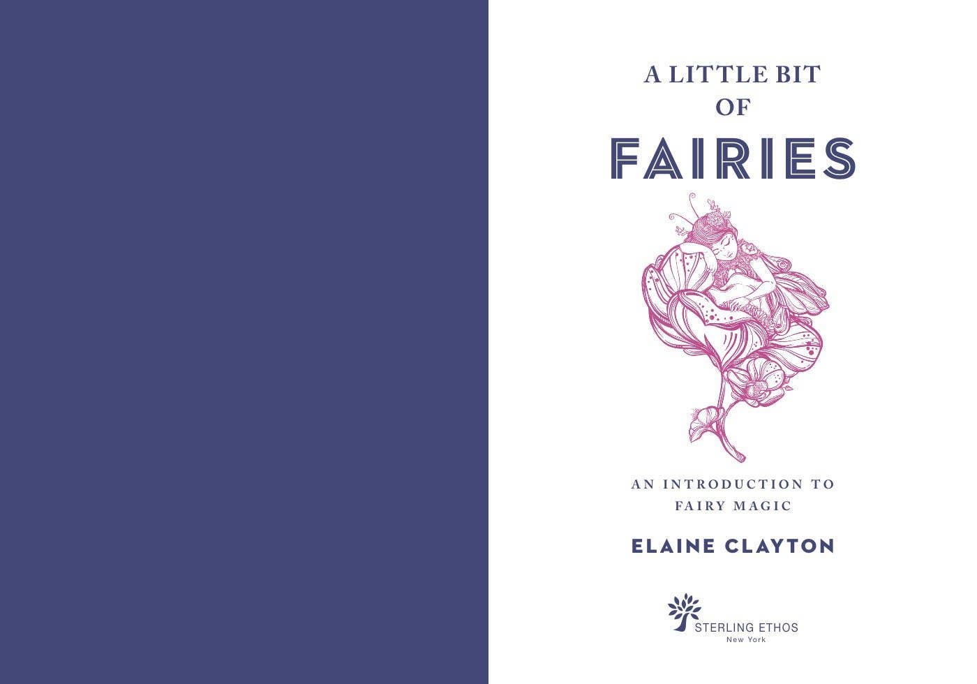 Little Bit of Fairies by Elaine Clayton