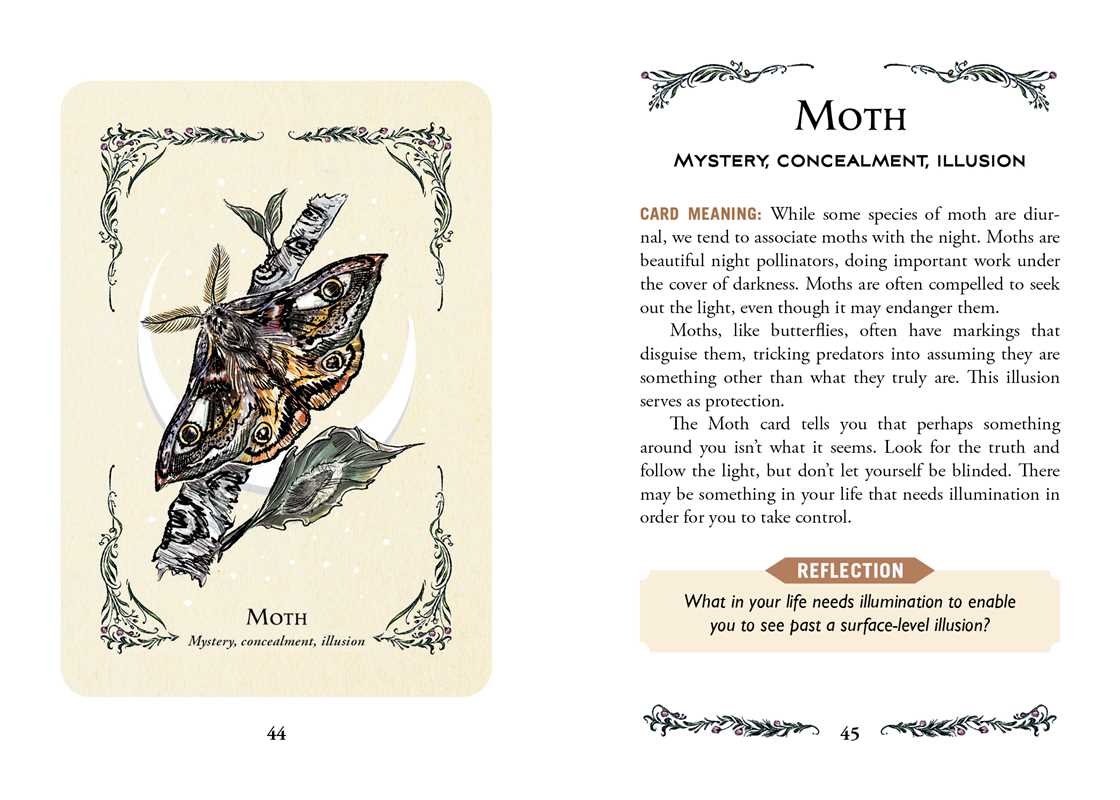 Green Witch's Oracle Deck by Arin Murphy-Hiscock: Flashcards; 100 pages / English