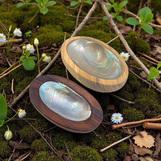 Bowl - Shell Wood